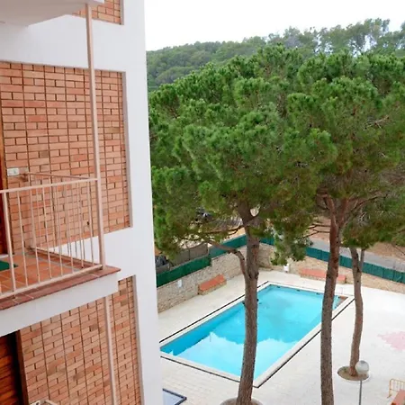 Bosmar Bosc 5-a 팔스